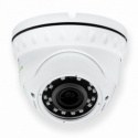 Антивандальная IP камера GV-060-IP-E-DOS30V-30 (LP4943)