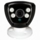 Гибридная наружная камера GV-042-GHD-H-COA20-80 1080Р (LP4638)