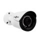 Гибридная Антивандальная камера GV-084-GHD-H-СOF40-20 1080Р (LP7645)